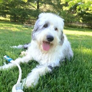 Meet your Posher, Barbara